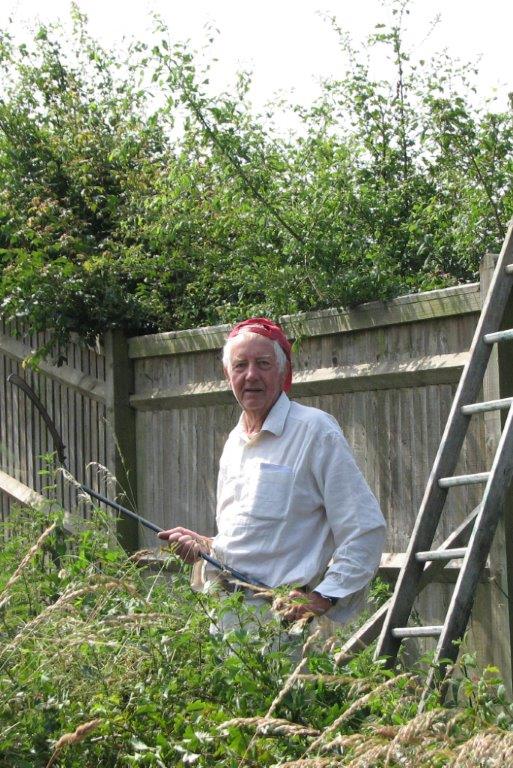 Photo - Taming the hedge